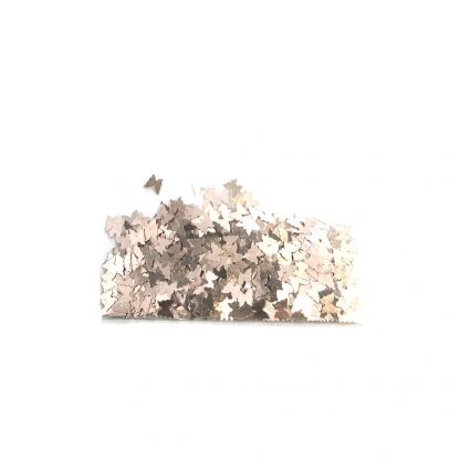 3D Schmetterling – Bronze - B25 1